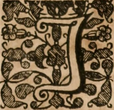 An illustration from Vitae selectorum aliquot virorum qui doctrina, dignitate, aut pietate inclaruere, 1681, leaf 626