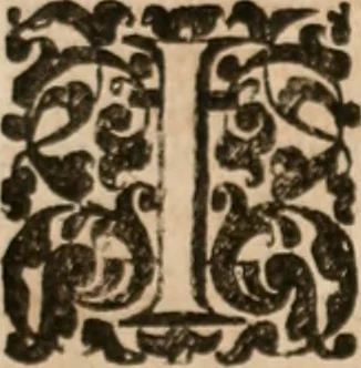 An illustration from Vitae selectorum aliquot virorum qui doctrina, dignitate, aut pietate inclaruere, 1681, leaf 638