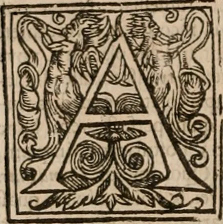 An illustration from Vitae selectorum aliquot virorum qui doctrina, dignitate, aut pietate inclaruere, 1681, leaf 649