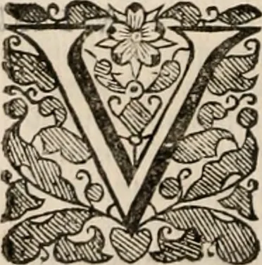 An illustration from Vitae selectorum aliquot virorum qui doctrina, dignitate, aut pietate inclaruere, 1681, leaf 709