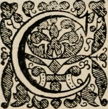 An illustration from Vitae selectorum aliquot virorum qui doctrina, dignitate, aut pietate inclaruere, 1681, leaf 733