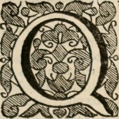 An illustration from Vitae selectorum aliquot virorum qui doctrina, dignitate, aut pietate inclaruere, 1681, leaf 742