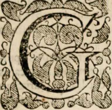 An illustration from Vitae selectorum aliquot virorum qui doctrina, dignitate, aut pietate inclaruere, 1681, leaf 752