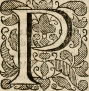An illustration from Vitae selectorum aliquot virorum qui doctrina, dignitate, aut pietate inclaruere, 1681, leaf 774