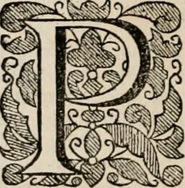 An illustration from Vitae selectorum aliquot virorum qui doctrina, dignitate, aut pietate inclaruere, 1681, leaf 789