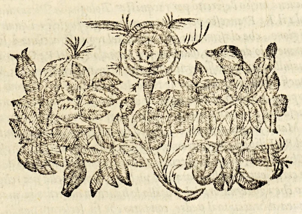 An illustration from Vita, et fatti dell' inuitissimo Imperatore Carlo Quinto, et historie uniuersali del mondo, de' suoi tempi. : Nella quale vengono comprese le cose più segnalate successe in Asia, Africa, Europa, & nel Mondo Nouo ..., 1606, leaf 413