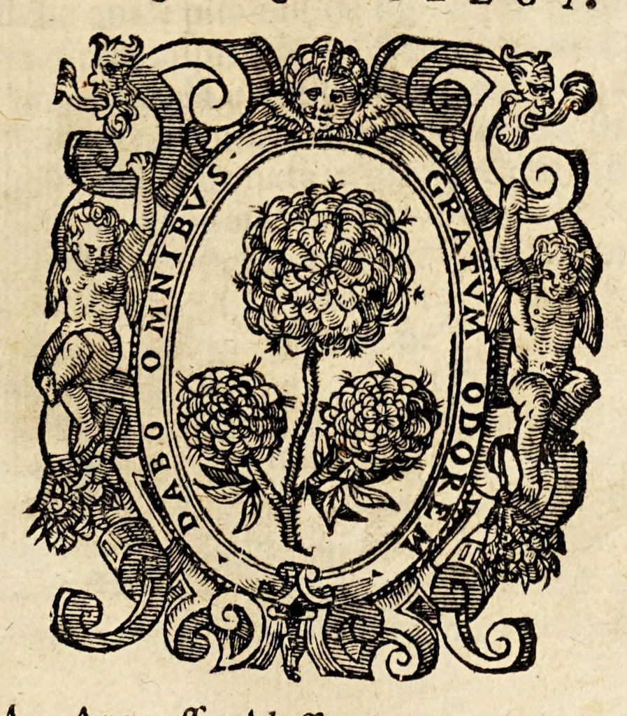 An illustration from Vita, et fatti dell' inuitissimo Imperatore Carlo Quinto, et historie uniuersali del mondo, de' suoi tempi. : Nella quale vengono comprese le cose più segnalate successe in Asia, Africa, Europa, & nel Mondo Nouo ..., 1606, leaf 7