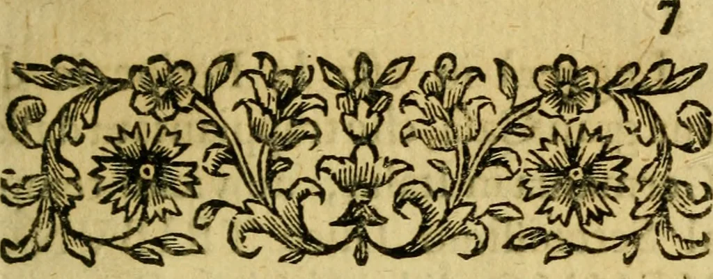 An illustration from Vita, et gesti d'Ezzelino Terzo da Roman : da l'origine al fine di sua famiglia, sotto la cui tirannide mancarono di morte violenta più di dodeci milla padouani, 1677, leaf 10