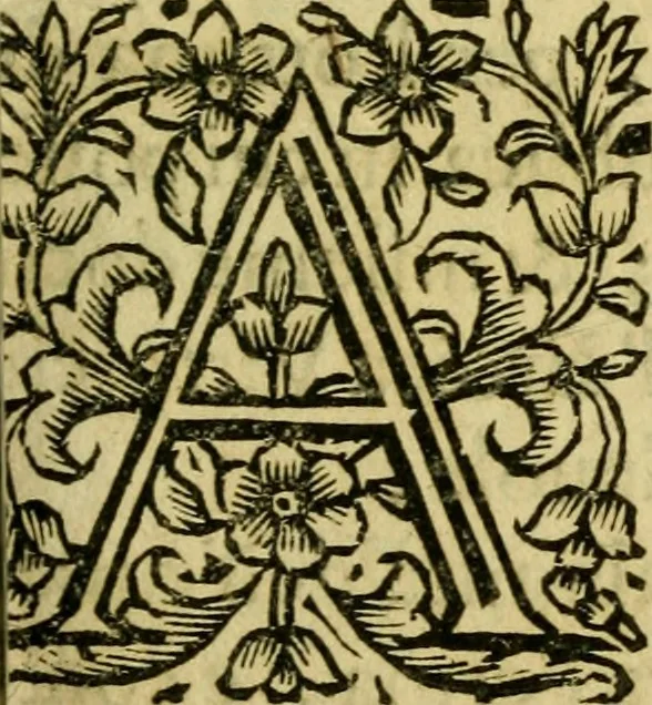 An illustration from Vita, et gesti d'Ezzelino Terzo da Roman : da l'origine al fine di sua famiglia, sotto la cui tirannide mancarono di morte violenta più di dodeci milla padouani, 1677, leaf 10