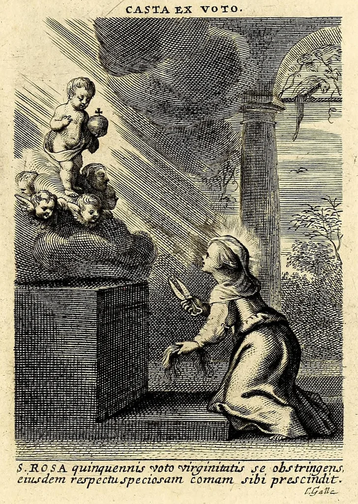 An illustration from Vita et historia S. Rosae a S. Maria quae nata Limae in regno Peruano 1586, obiit 1617 aetatis suae 31. : Adm. R.P. Mago. Fr. Michaeli de Toledo Proc. Gen. D. Praedic. Prov. S. Io. Bapt. in Peruvio, 1672, leaf 11