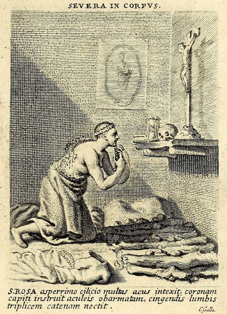 An illustration from Vita et historia S. Rosae a S. Maria quae nata Limae in regno Peruano 1586, obiit 1617 aetatis suae 31. : Adm. R.P. Mago. Fr. Michaeli de Toledo Proc. Gen. D. Praedic. Prov. S. Io. Bapt. in Peruvio, 1672, leaf 15
