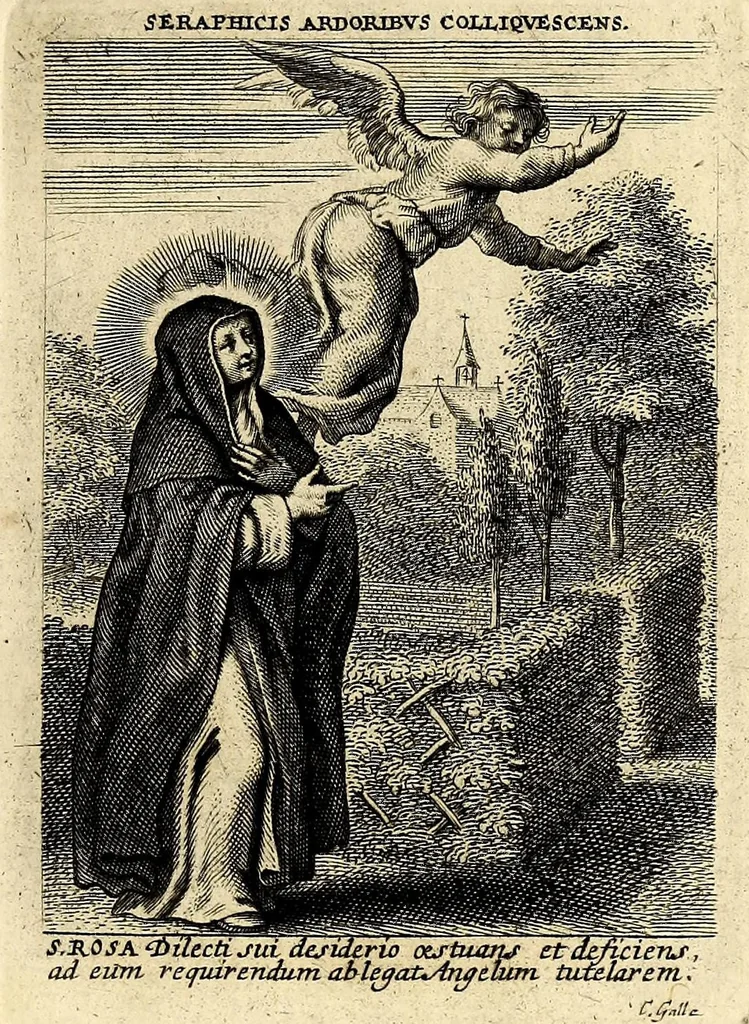 An illustration from Vita et historia S. Rosae a S. Maria quae nata Limae in regno Peruano 1586, obiit 1617 aetatis suae 31. : Adm. R.P. Mago. Fr. Michaeli de Toledo Proc. Gen. D. Praedic. Prov. S. Io. Bapt. in Peruvio, 1672, leaf 23