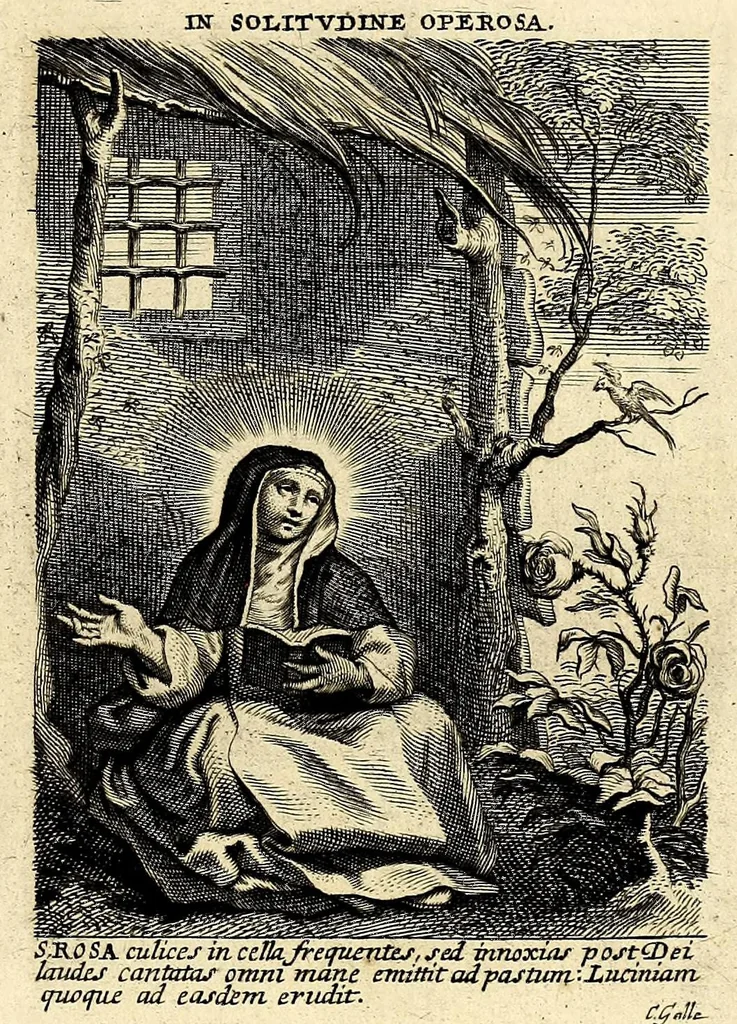 An illustration from Vita et historia S. Rosae a S. Maria quae nata Limae in regno Peruano 1586, obiit 1617 aetatis suae 31. : Adm. R.P. Mago. Fr. Michaeli de Toledo Proc. Gen. D. Praedic. Prov. S. Io. Bapt. in Peruvio, 1672, leaf 25