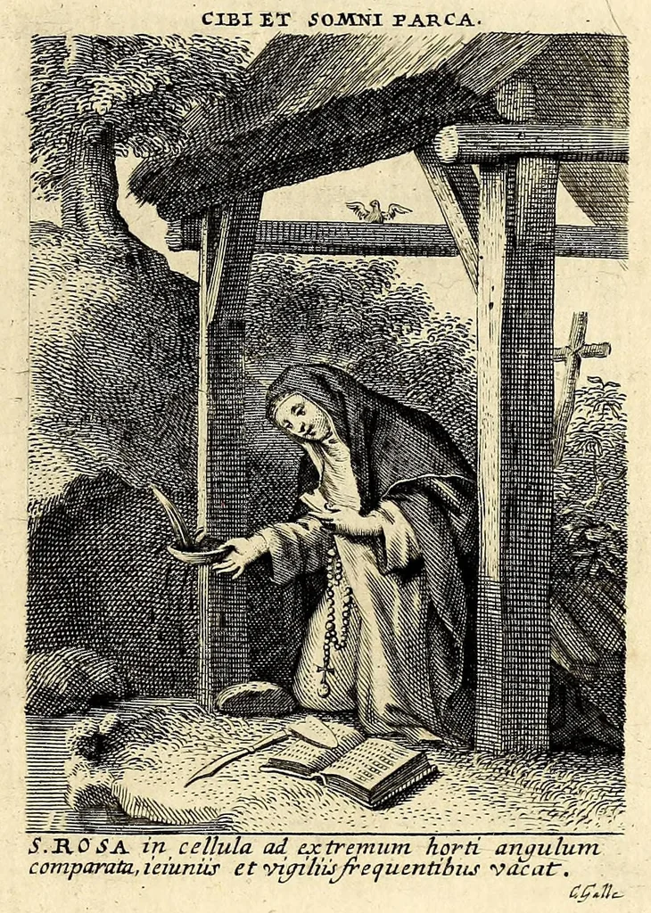 An illustration from Vita et historia S. Rosae a S. Maria quae nata Limae in regno Peruano 1586, obiit 1617 aetatis suae 31. : Adm. R.P. Mago. Fr. Michaeli de Toledo Proc. Gen. D. Praedic. Prov. S. Io. Bapt. in Peruvio, 1672, leaf 29