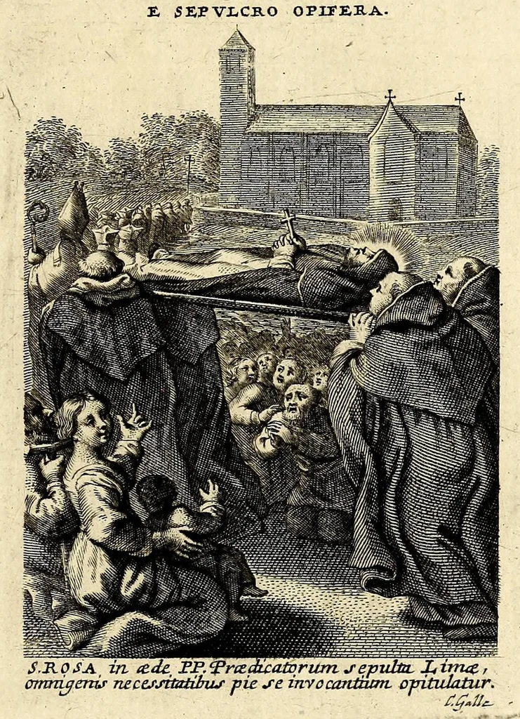 An illustration from Vita et historia S. Rosae a S. Maria quae nata Limae in regno Peruano 1586, obiit 1617 aetatis suae 31. : Adm. R.P. Mago. Fr. Michaeli de Toledo Proc. Gen. D. Praedic. Prov. S. Io. Bapt. in Peruvio, 1672, leaf 35