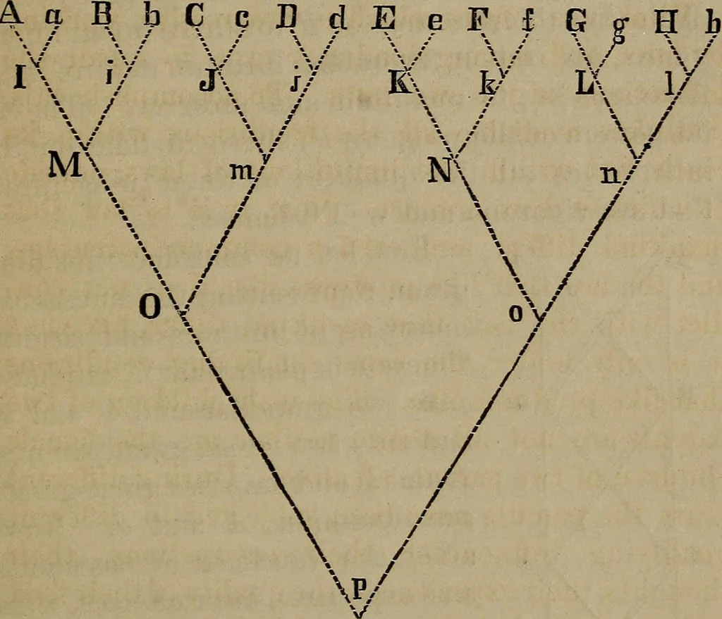 An illustration from Vital resources;, 1869, leaf 110