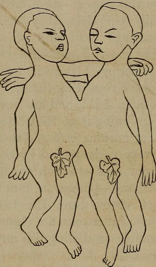 An illustration from Vital resources;, 1869, leaf 41