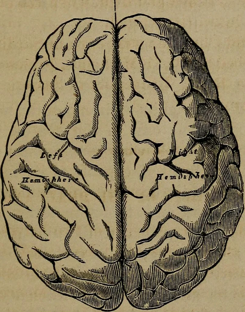 An illustration from Vital resources;, 1869, leaf 52