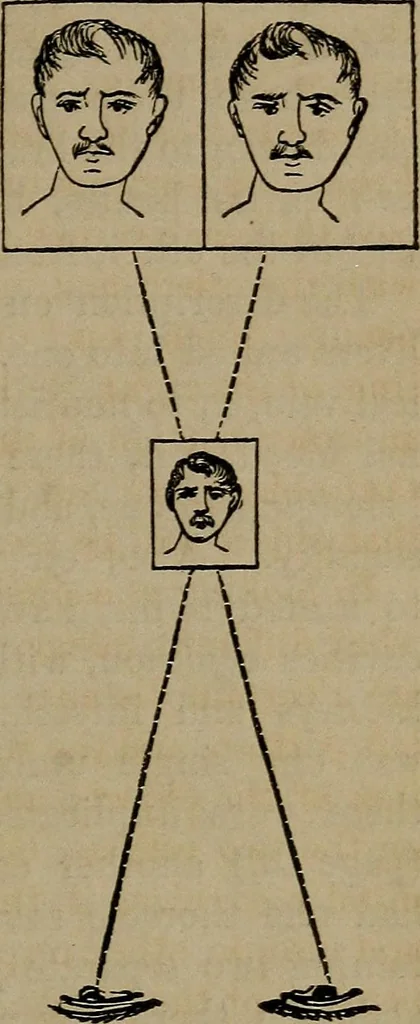 An illustration from Vital resources;, 1869, leaf 66