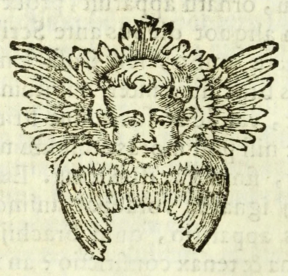 An illustration from Vita mirabilis et mors pretiosa venerabilis sororis Rosae de S. Maria Limensis ex Tertio ordine S.P. Dominici : ad sanctissimum D.N. Alexandrum VII. Pontificem Max, 1664, leaf 312