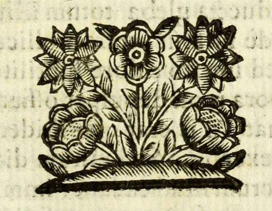 An illustration from Vita mirabilis et mors pretiosa venerabilis sororis Rosae de S. Maria Limensis ex Tertio ordine S.P. Dominici : ad sanctissimum D.N. Alexandrum VII. Pontificem Max, 1664, leaf 351