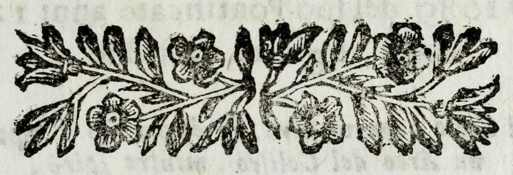 An illustration from Vita, morte e funerale d'Innocenzo Vndecimo, pontefice ottimo e massimo, 1692, leaf 47