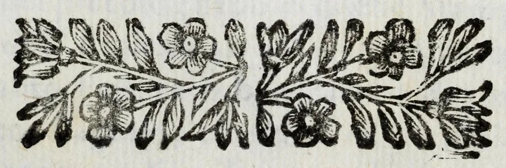 An illustration from Vita, morte e funerale d'Innocenzo Vndecimo, pontefice ottimo e massimo, 1692, leaf 5
