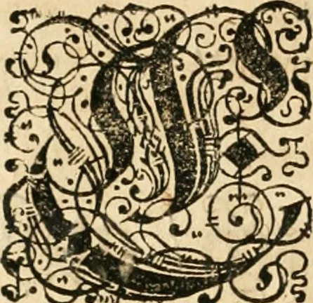 An illustration from Vita post vitam, 1662, leaf 101