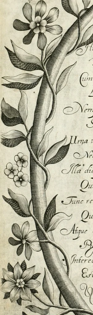 An illustration from Vita post vitam, 1662, leaf 13