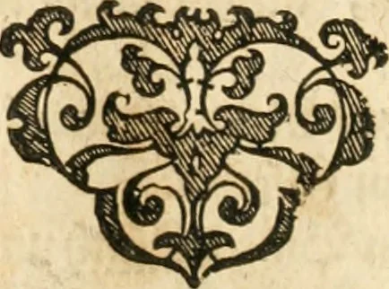 An illustration from Vita post vitam, 1662, leaf 169