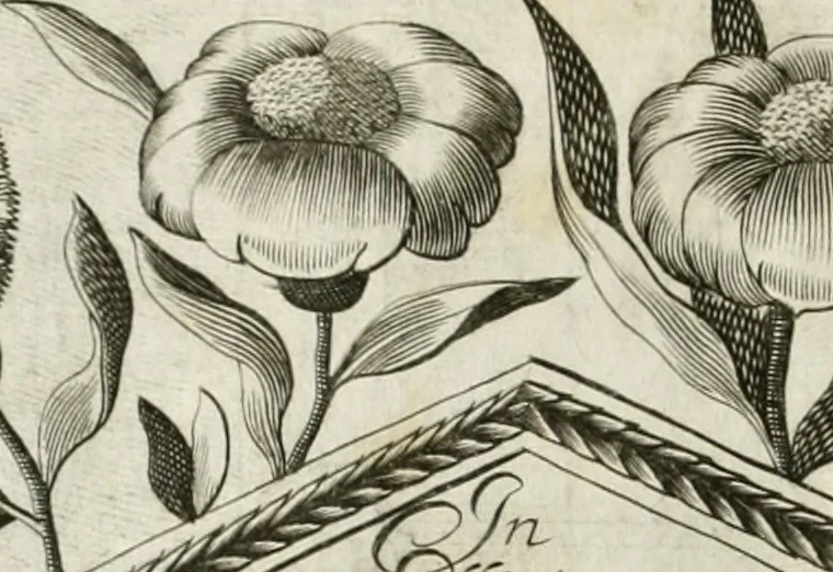 An illustration from Vita post vitam, 1662, leaf 17