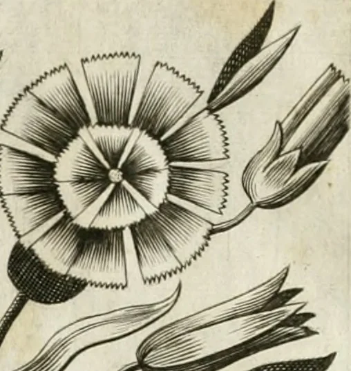 An illustration from Vita post vitam, 1662, leaf 17