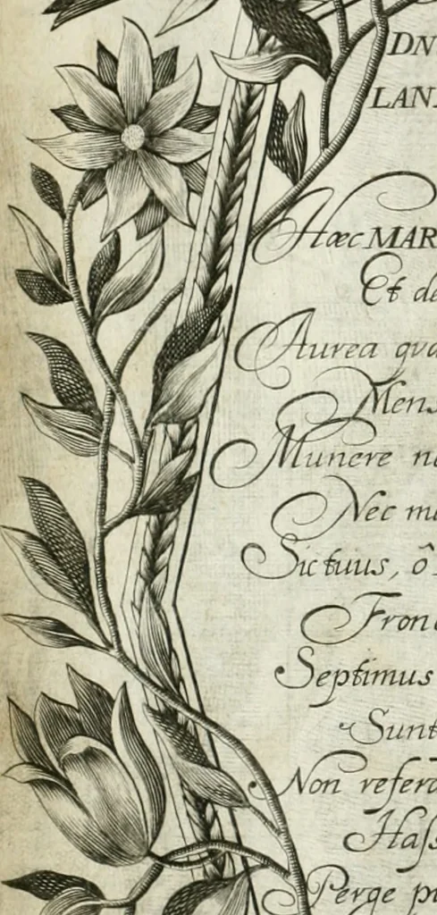 An illustration from Vita post vitam, 1662, leaf 17