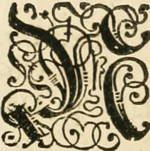 An illustration from Vita post vitam, 1662, leaf 173