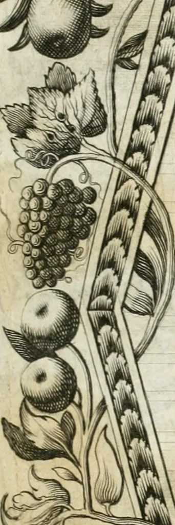 An illustration from Vita post vitam, 1662, leaf 18