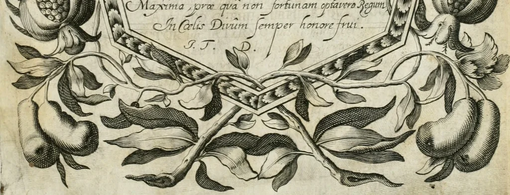 An illustration from Vita post vitam, 1662, leaf 18