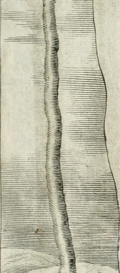 An illustration from Vita post vitam, 1662, leaf 22