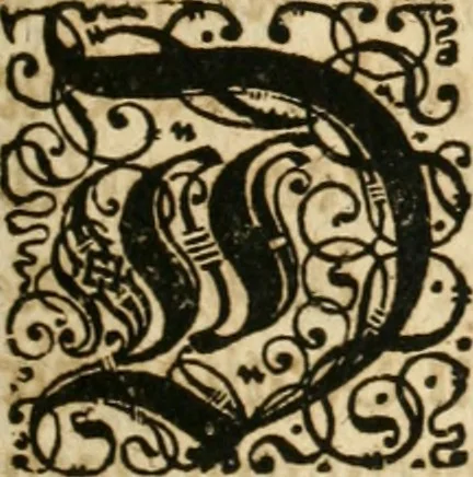 An illustration from Vita post vitam, 1662, leaf 318