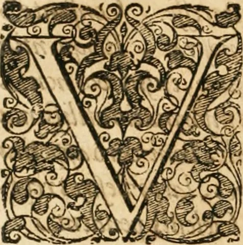 An illustration from Vita post vitam, 1662, leaf 587