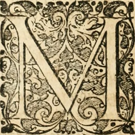 An illustration from Vita post vitam, 1662, leaf 629