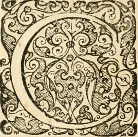 An illustration from Vita post vitam, 1662, leaf 645