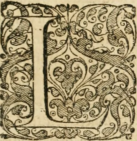 An illustration from Vita post vitam, 1662, leaf 678