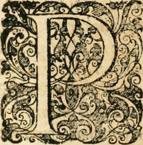 An illustration from Vita post vitam, 1662, leaf 697
