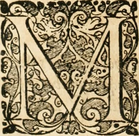 An illustration from Vita post vitam, 1662, leaf 711