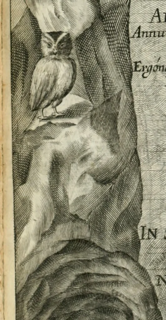 An illustration from Vita post vitam, 1662, leaf 9