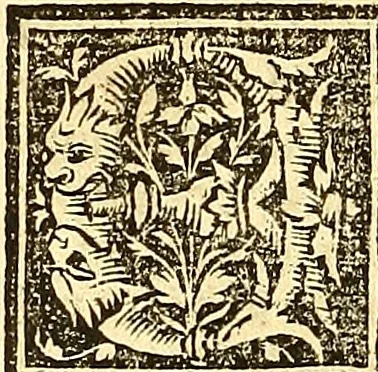 An illustration from Vitas patrum. : Libro de las vidas de los sanctos padres del yermo: segun lo escrinio el glorioso Hieronimo: nueuamente corregido y emendado, 1553, leaf 229