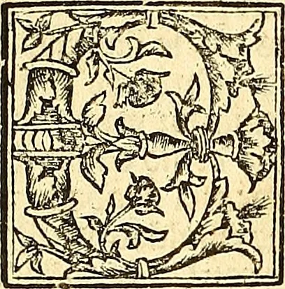 An illustration from Vitas patrum. : Libro de las vidas de los sanctos padres del yermo: segun lo escrinio el glorioso Hieronimo: nueuamente corregido y emendado, 1553, leaf 25