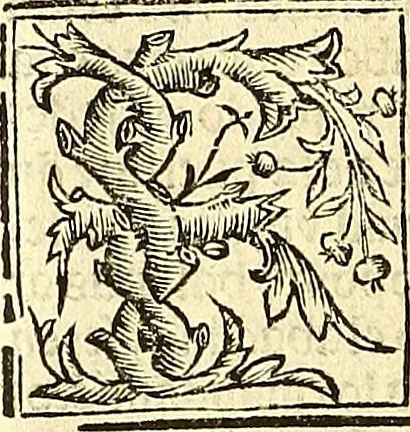 An illustration from Vitas patrum. : Libro de las vidas de los sanctos padres del yermo: segun lo escrinio el glorioso Hieronimo: nueuamente corregido y emendado, 1553, leaf 355