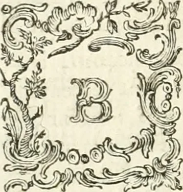 An illustration from Vite dei più celebri architetti, e scultori veneziani che fiorirono nel secolo decimosesto, 1778, leaf 145