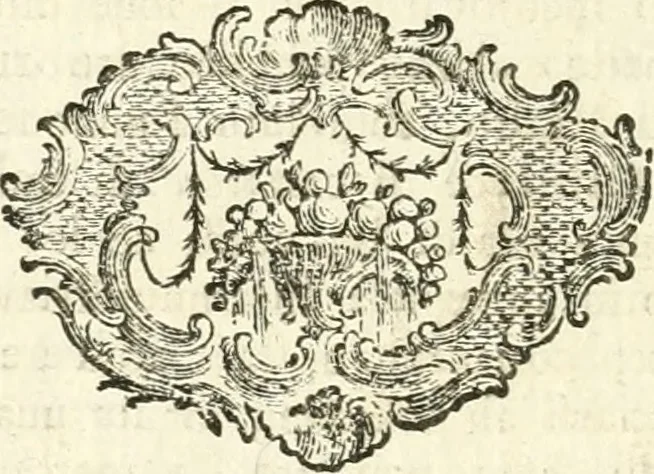 An illustration from Vite dei più celebri architetti, e scultori veneziani che fiorirono nel secolo decimosesto, 1778, leaf 149